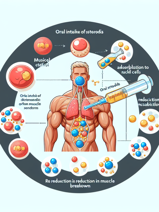 Les stéroïdes oraux et leur rôle dans la réduction du catabolisme musculaire