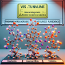 Chlorhydrate de Phentermine : stimulants “naturels” (guarana/maté/yohimbine), prudence